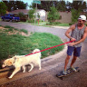 Meet your Posher, D.